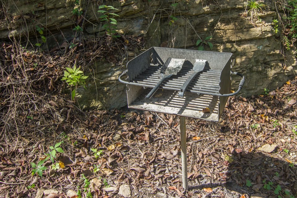 Charcoal grill