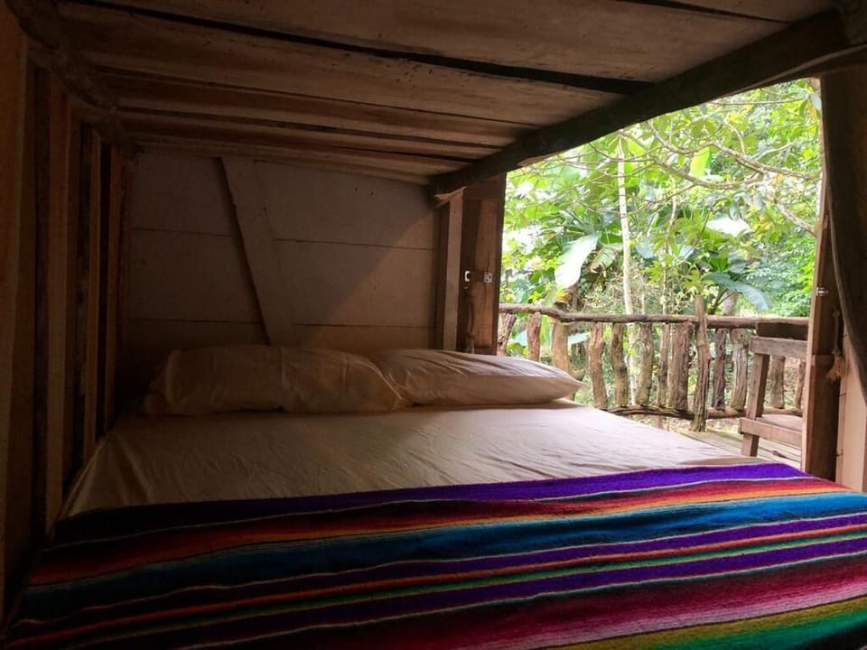 Spacious, comfortable and peaceful, surrounded by Costa Rica's natural world.