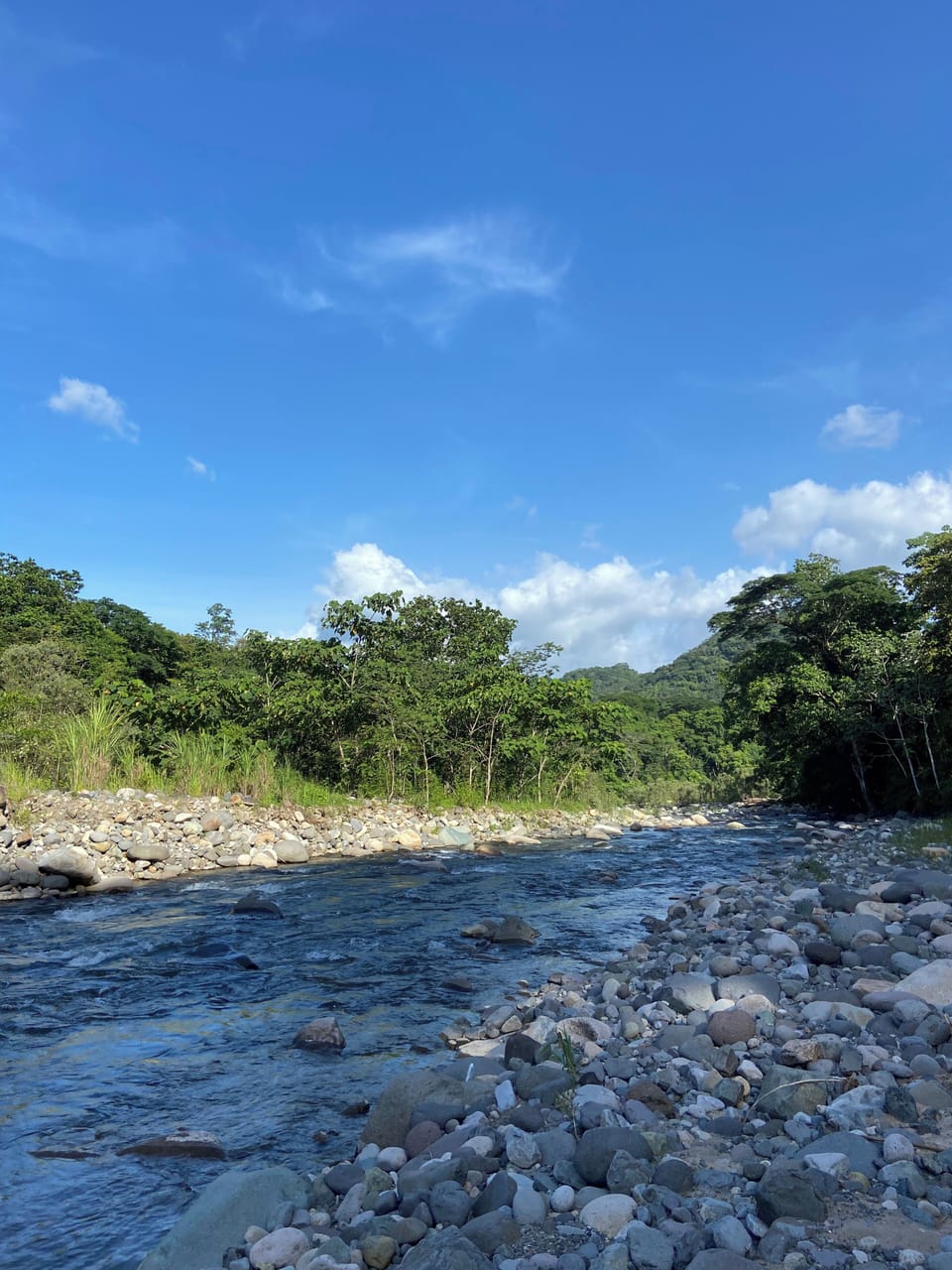 Picture of the river from June 2025- a two minute walk from the house.