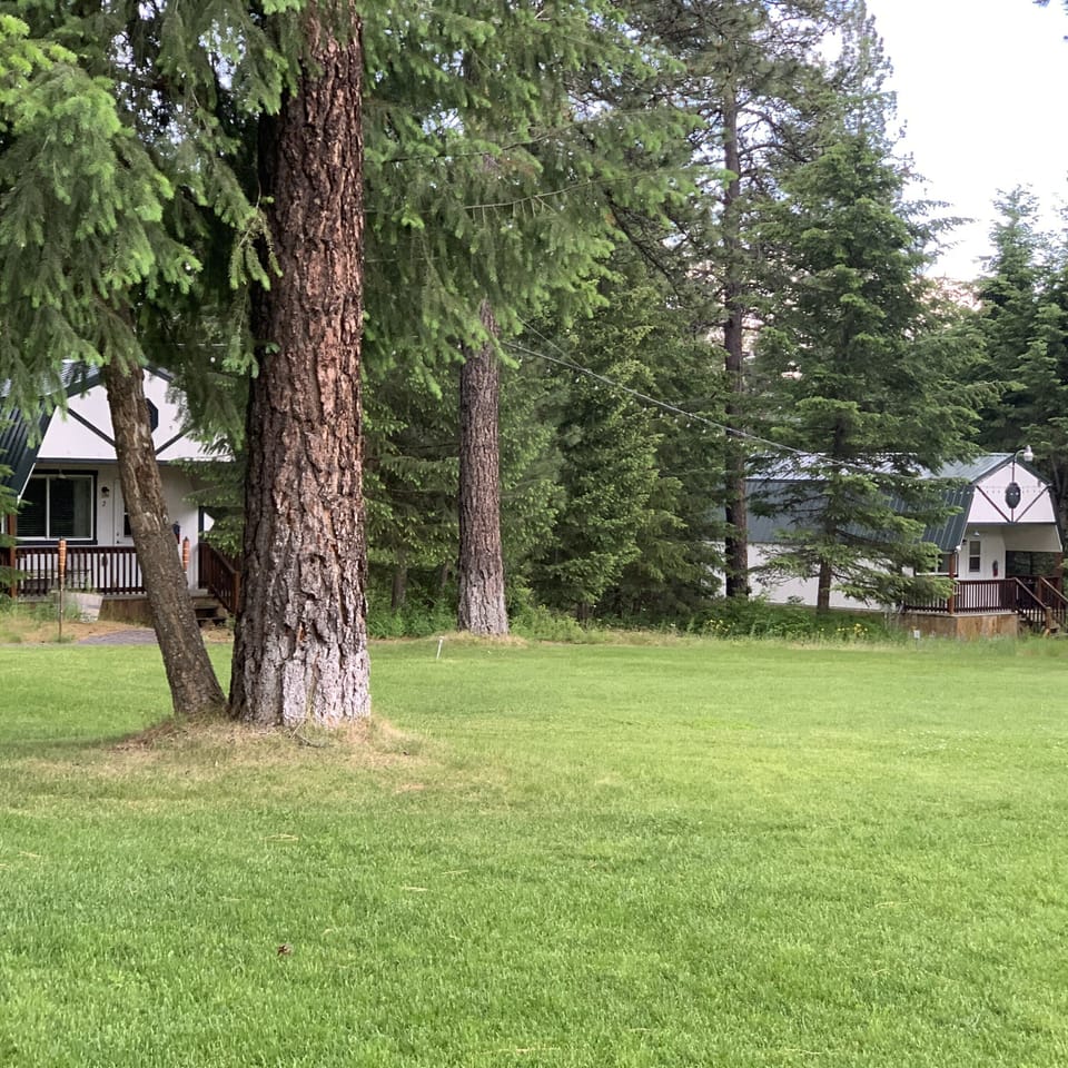 Cabins 2 and 3 from the main building