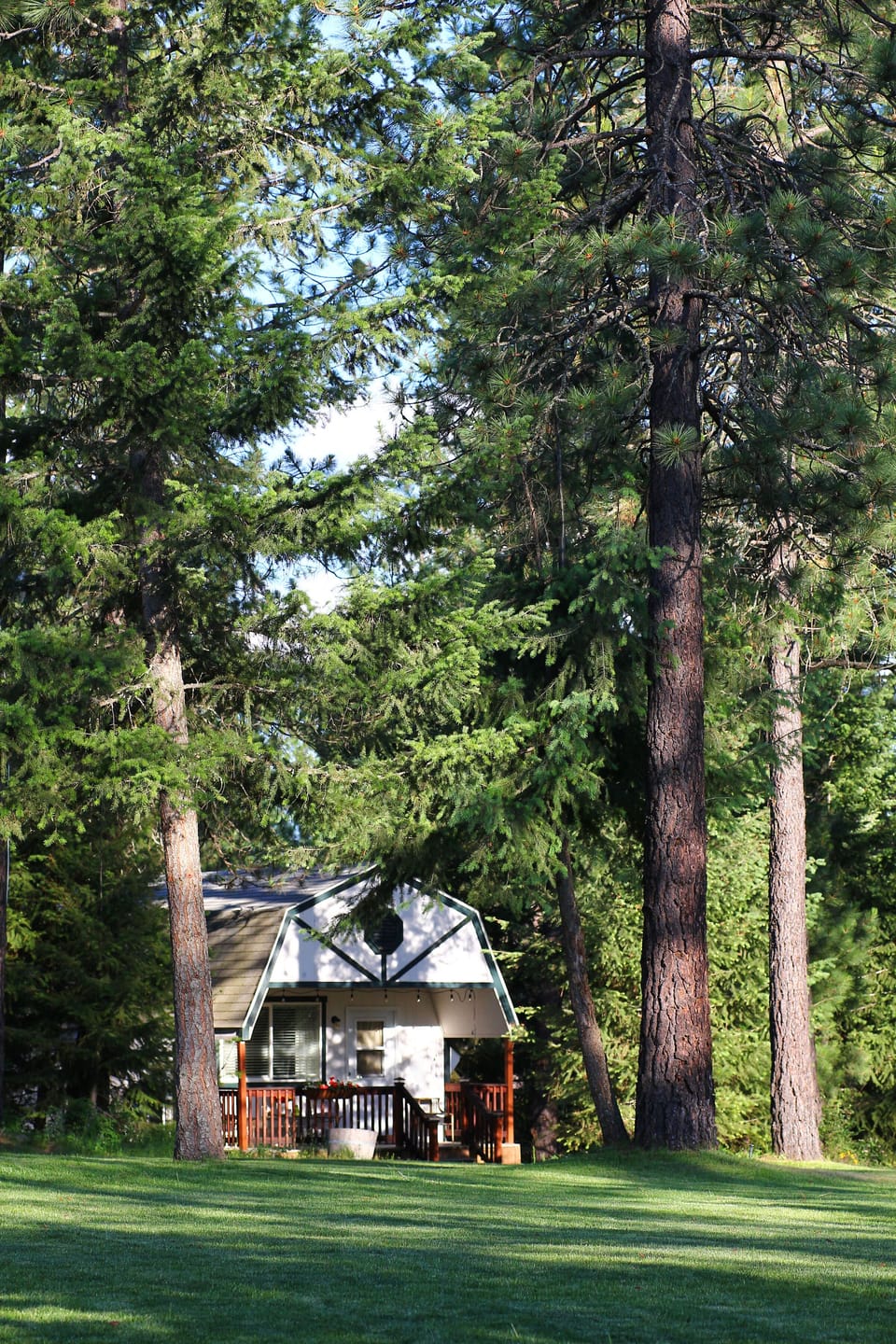 Cabin 3 from the yard