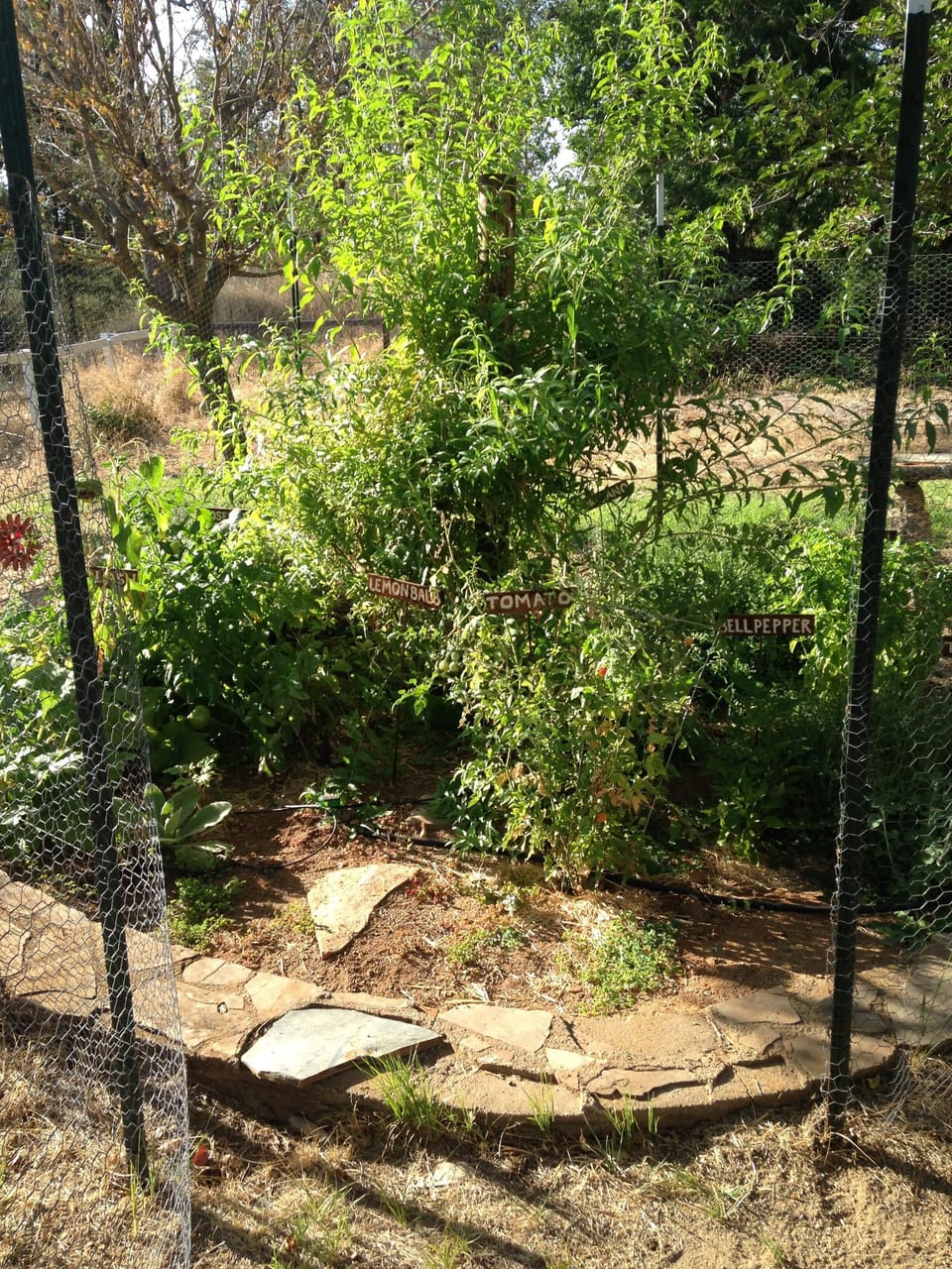 Herb Garden