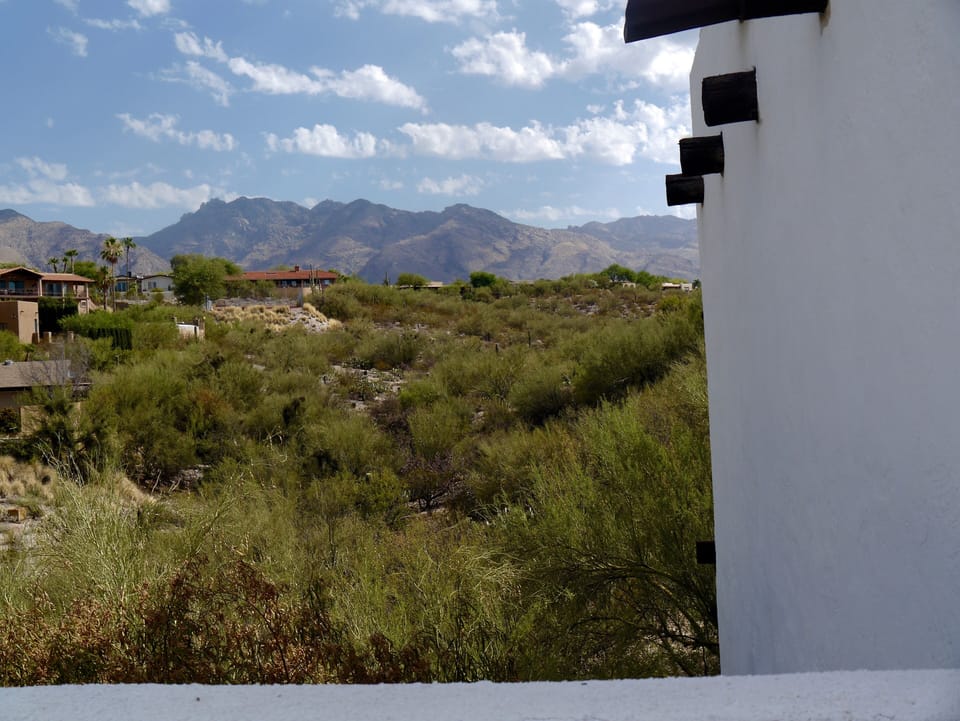 Mountain Views