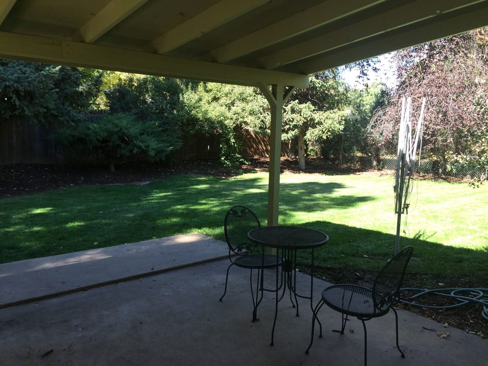 View of backyard. Fenced-in and dog friendly.