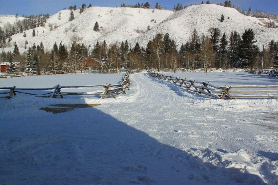 Driveway in snow