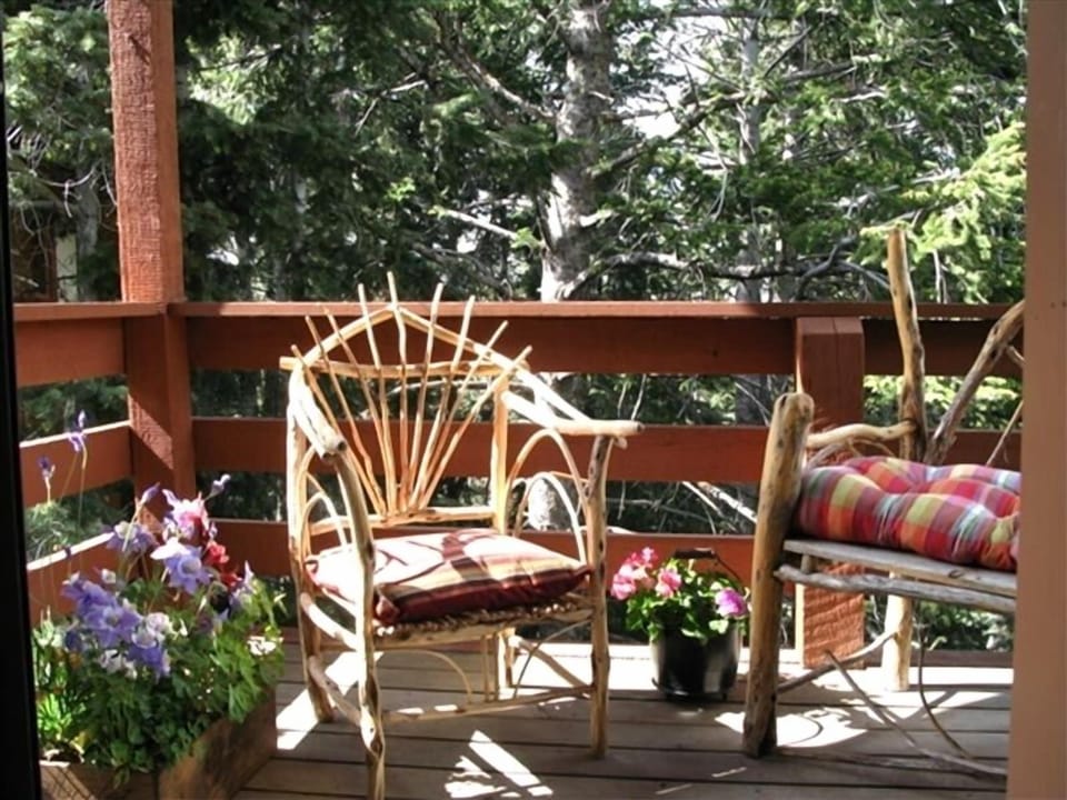Deck off the living room is in a forest