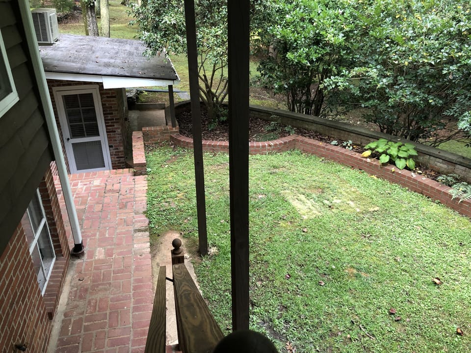 Back garden