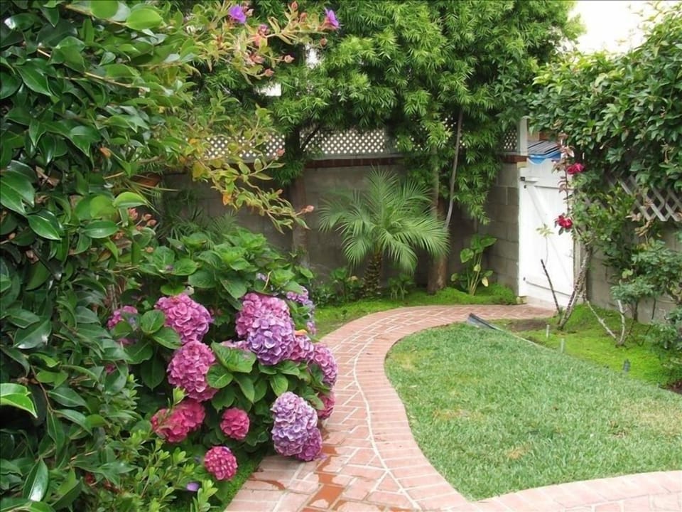 Looking from the outdoor sitting area to the gate to your private parking space.