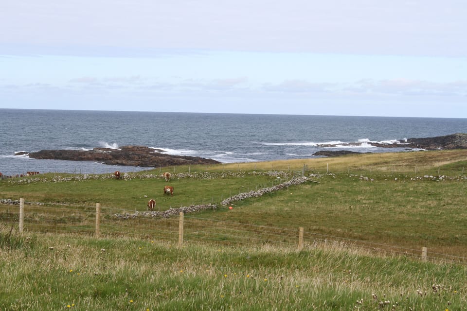 The cottage is in a crofting area used to graze cattle and sheep