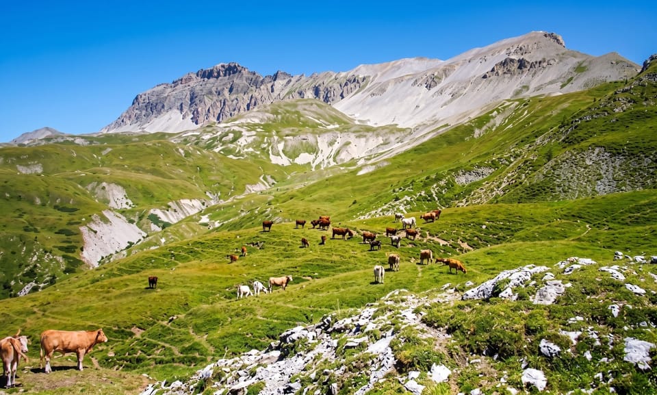 Mountain view