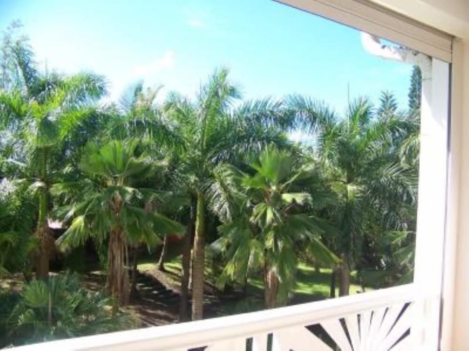 Terrace / Balcony