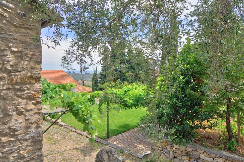 Garden, Outdoor