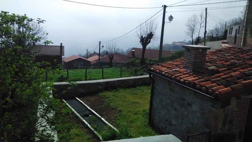 View for the garden from the balcony
