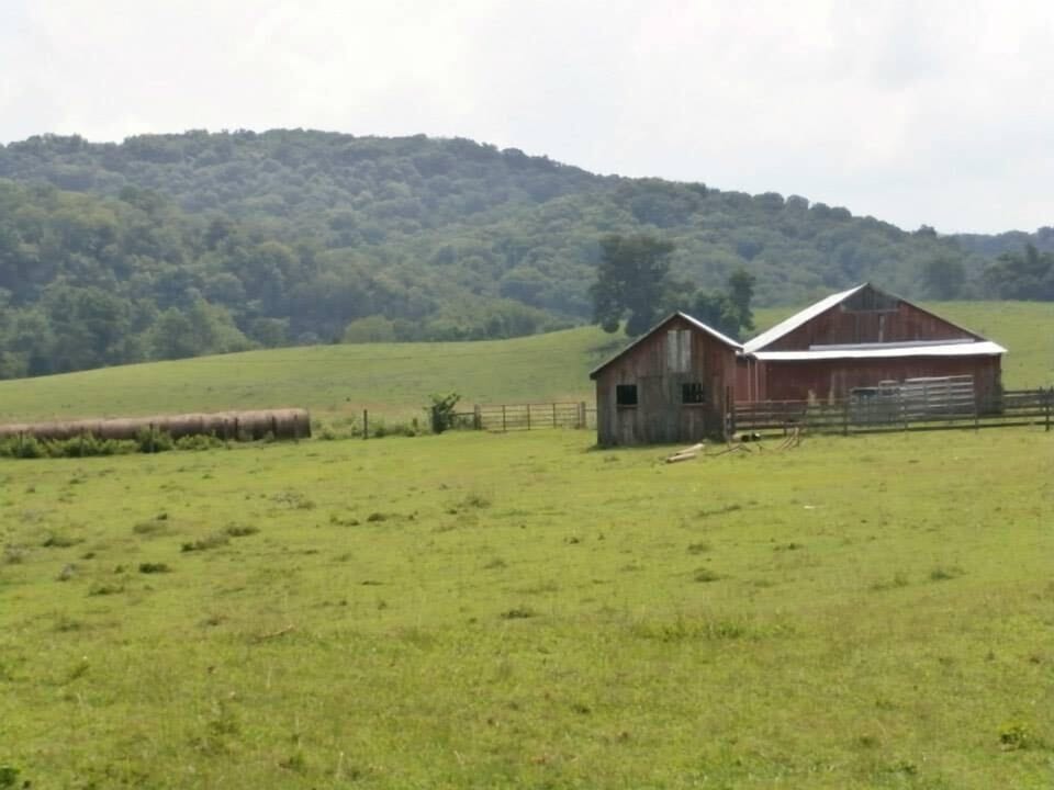 View from Laurels front balcony
