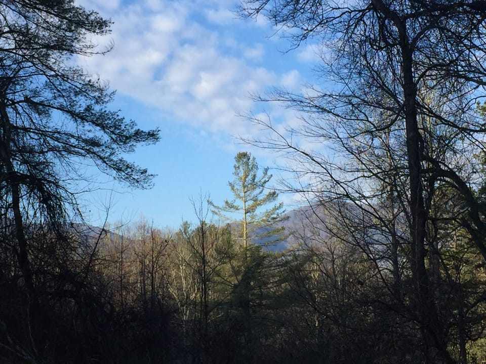 The Reagan House Mountain View 
(West from The Reagan House)