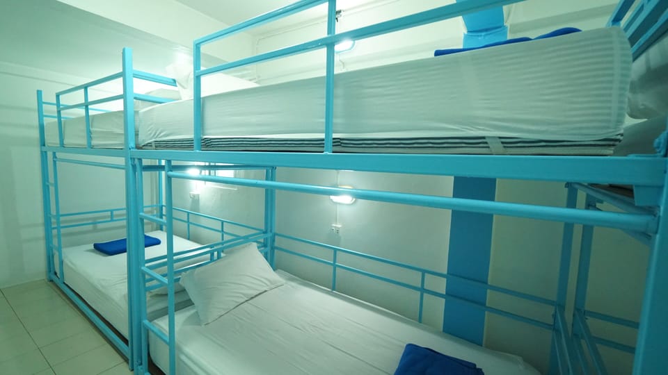 Bed in 8-Bed Female Dormitory | Free WiFi, bed sheets