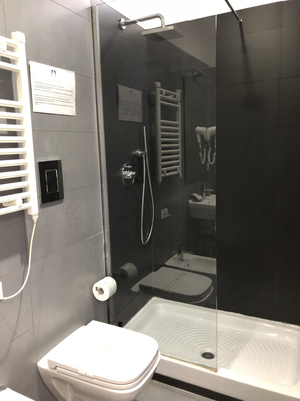Standard Room | Bathroom | Shower, free toiletries, hair dryer, bidet