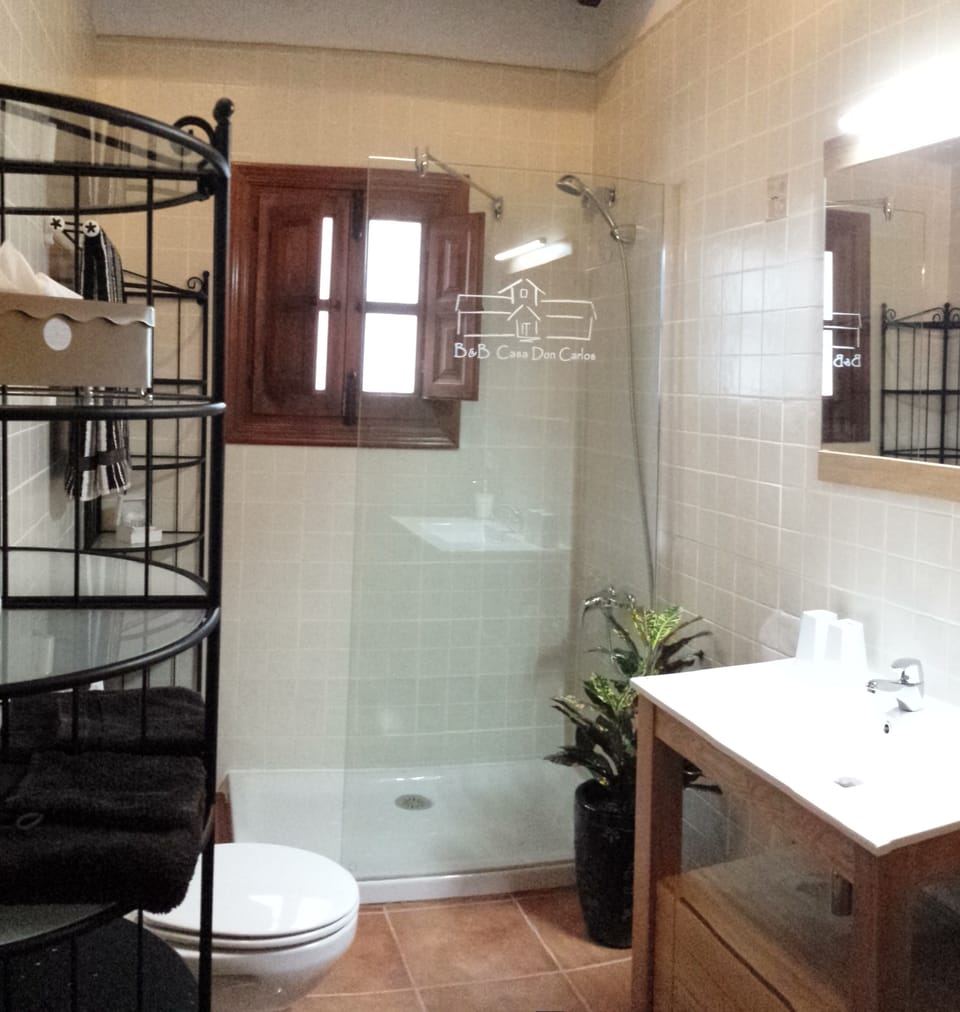 Shower, hair dryer, bathrobes, slippers