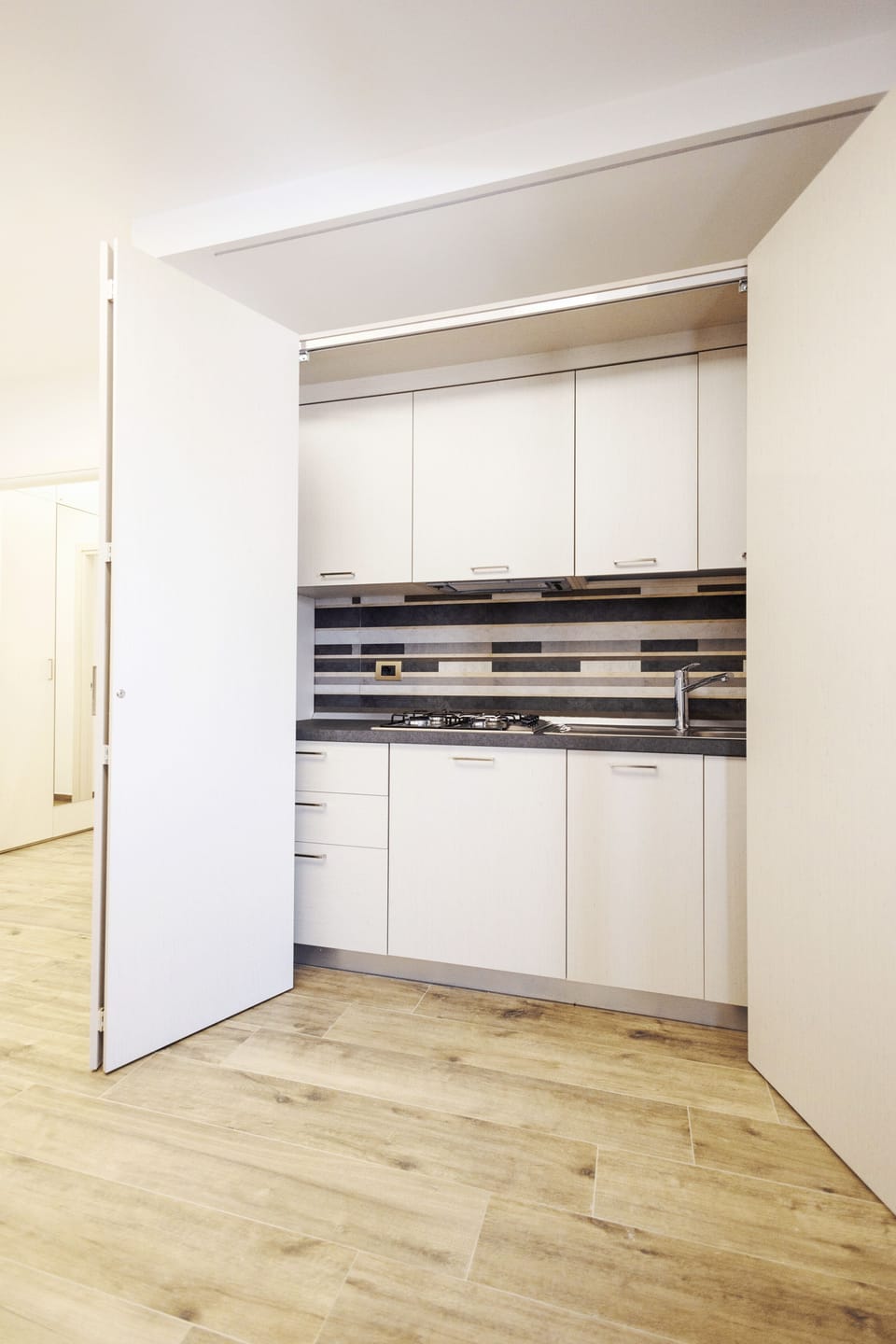 Family Apartment, Lake View | Private kitchen | Refrigerator (on request), oven, stovetop