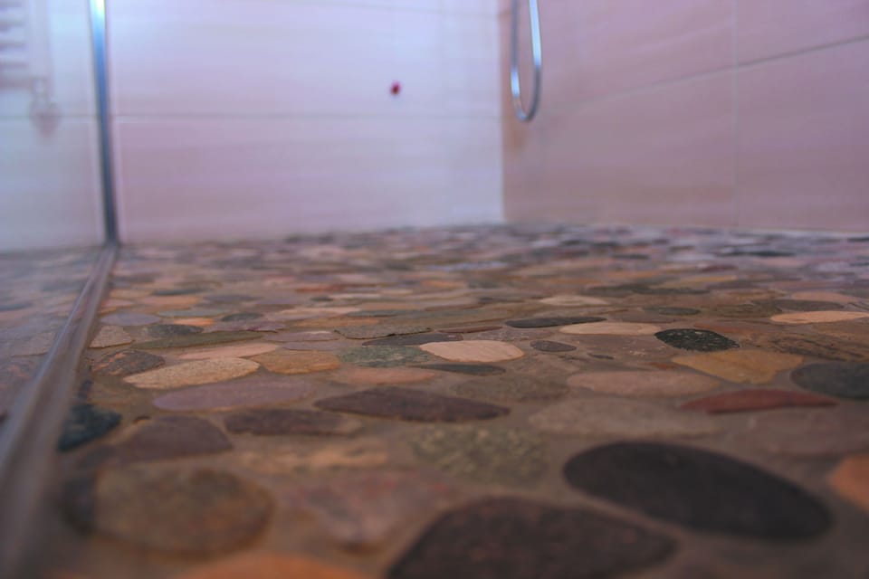 Executive Room (Bordeaux) | Bathroom shower