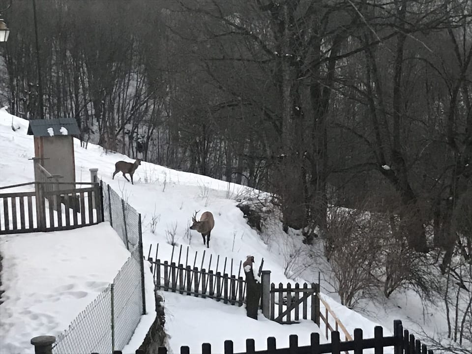 Snow and ski sports