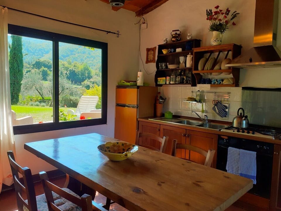 View of the garden freom the dining-cooking area