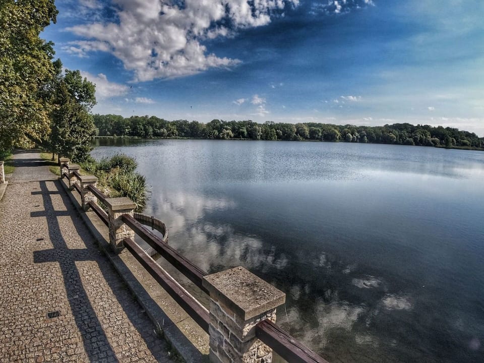 Cloud, Water, Sky, Water Resources, Plant, Daytime, Nature, Azure, Natural Environment, Tree
