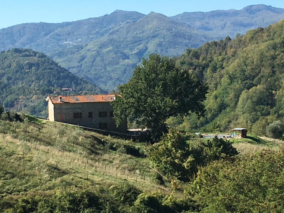 La Dioma property, swimming pool and surrounded land