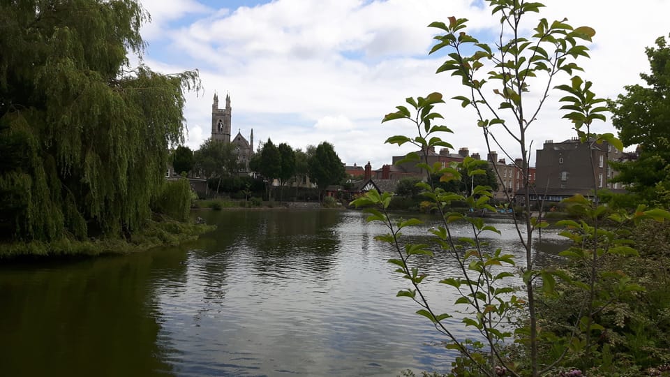 BLESSINGTON BASIN
5 minute walk