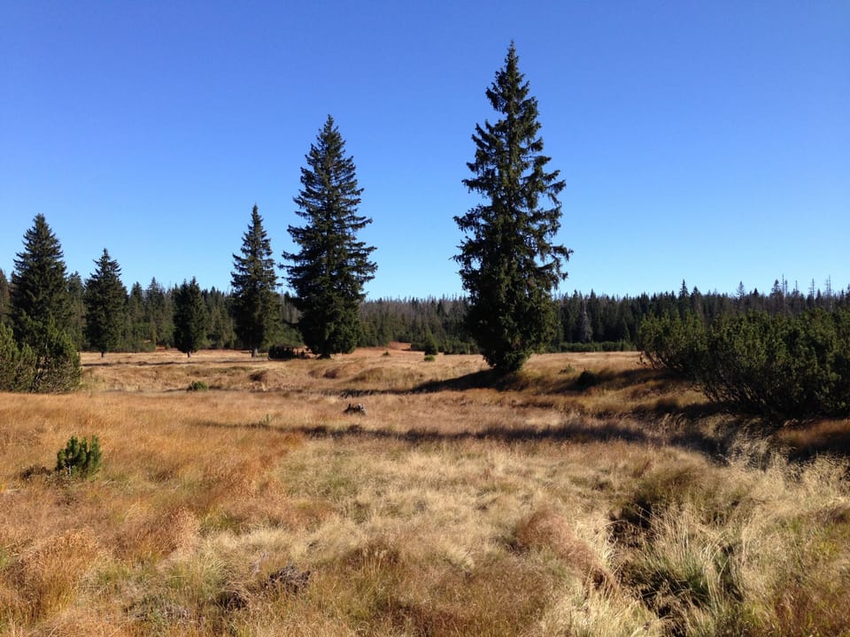 Hiking