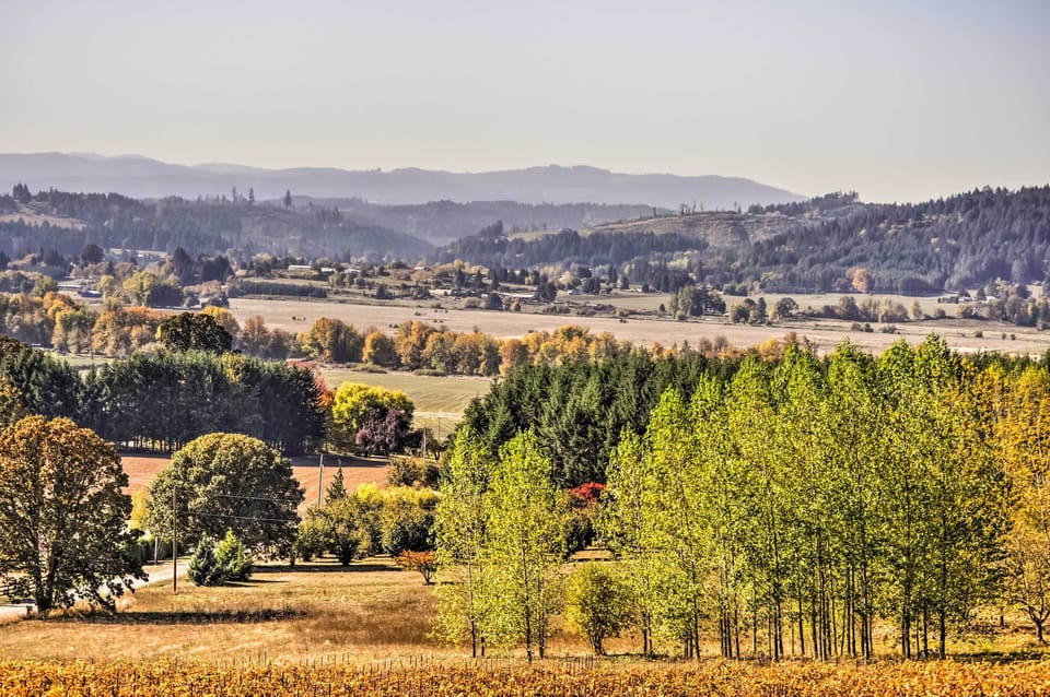 Exterior | Vineyard Views