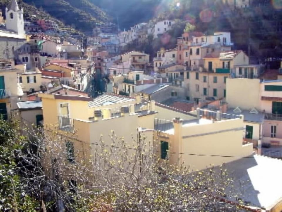 Overview