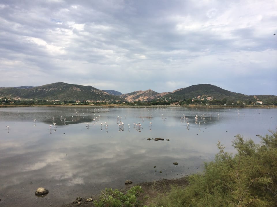 Chia lagune and pink Flamingos - 3km from the house