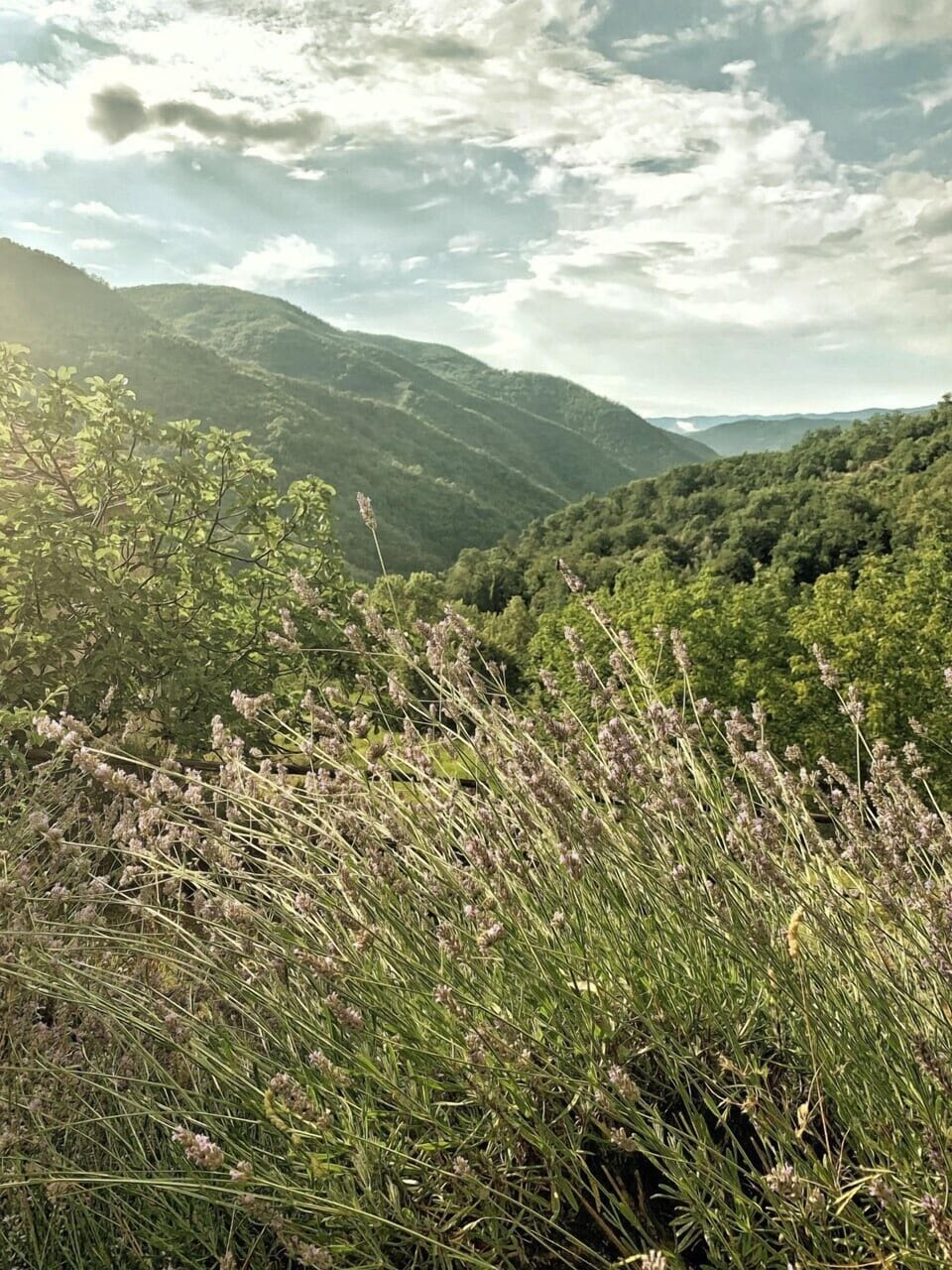 View of the valley on a cloudy day