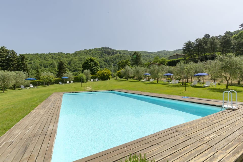 the swimming pool among olive trees