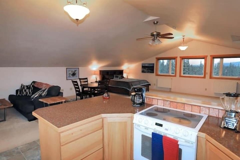 (4) open comortable studio 
