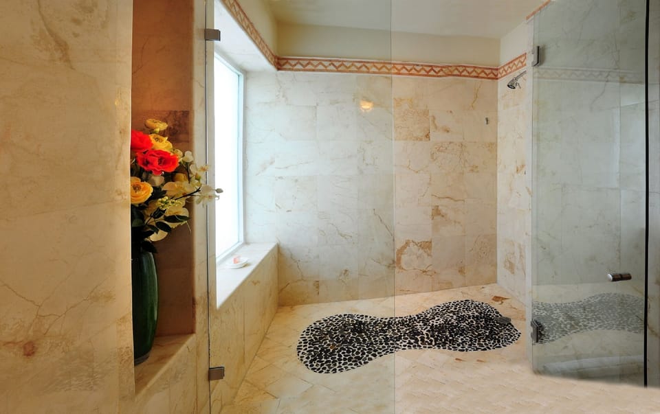 Master shower for 2!