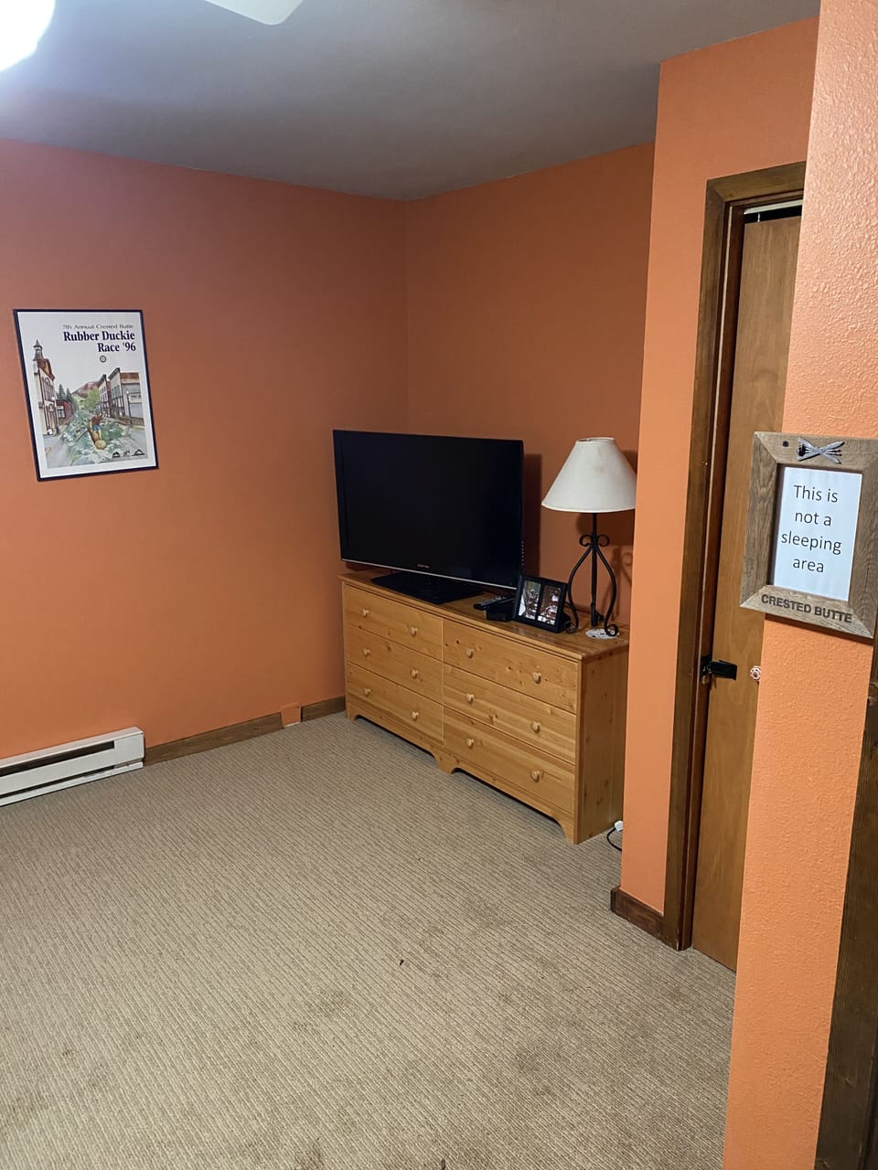 Game and TV room