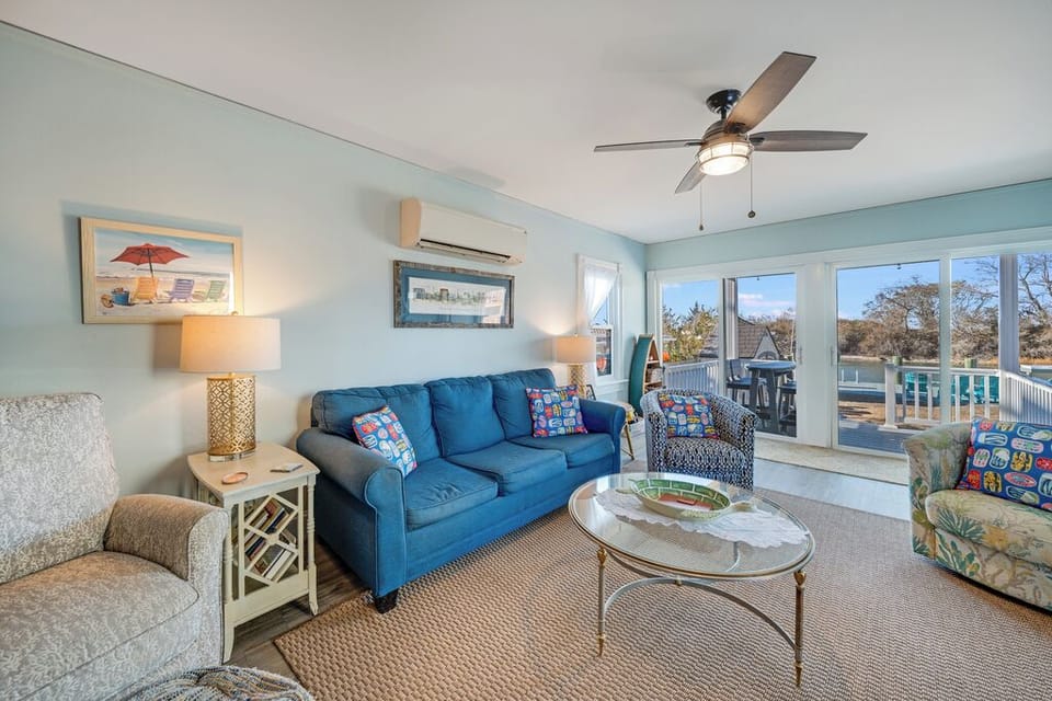 Watch the Herons & Egrets - even dolphins - right from your Living Room...