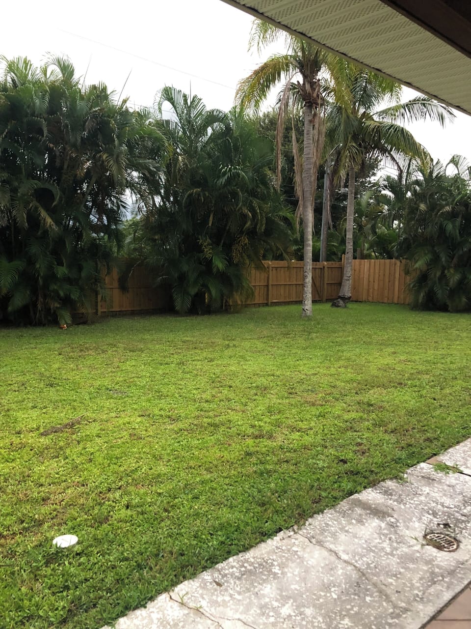 Fenced in yard