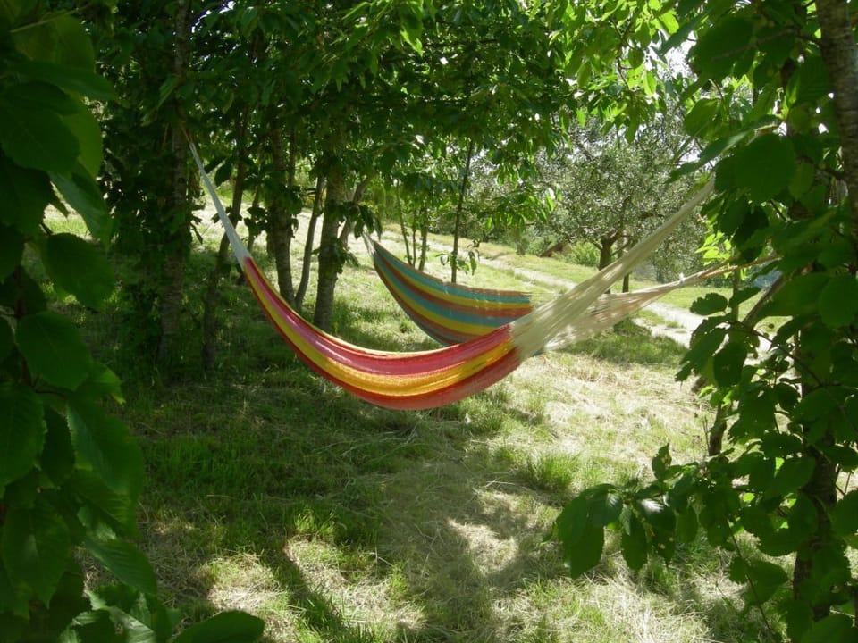 Hammocks among the cherry trees