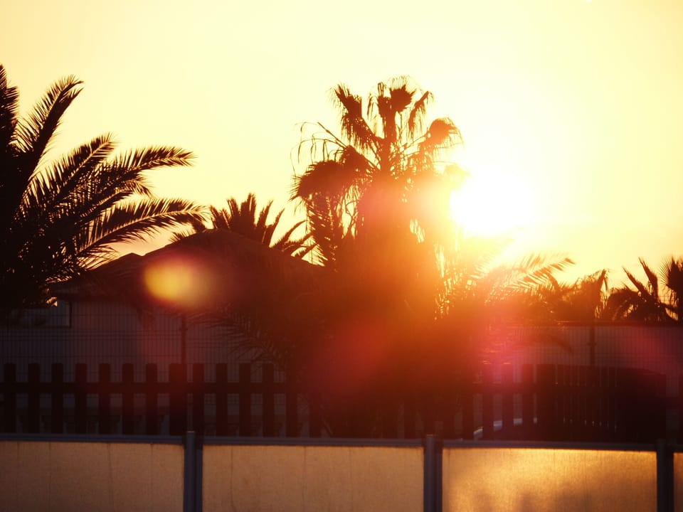 Sunrise from the patio