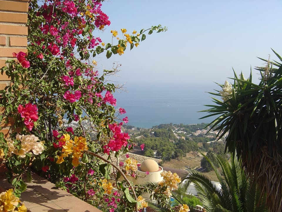 Panoramic view - whilst dining on the patio