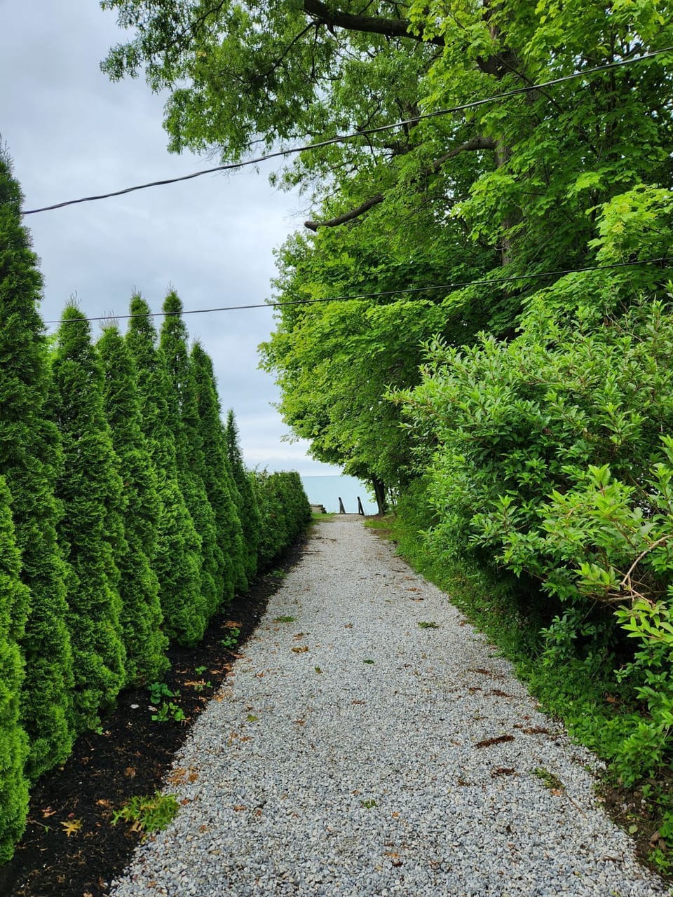 Path to Beach