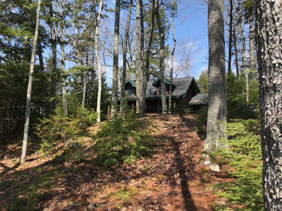 Looking up at the cabin from the lake.