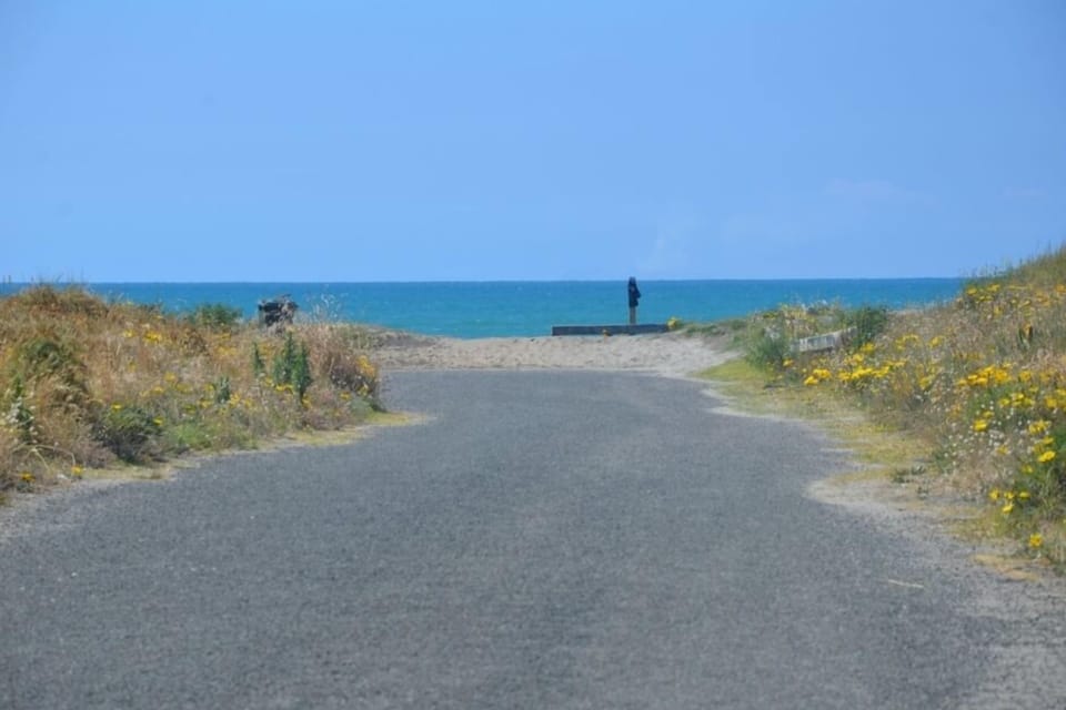 Short walk to the beach views of White Island