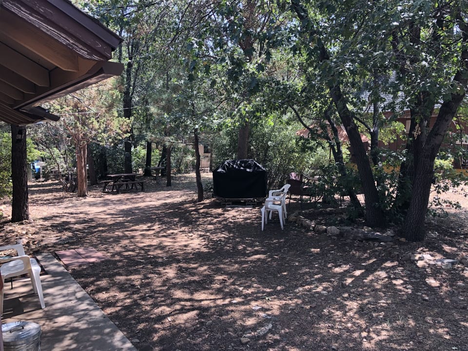Backyard of Cabin