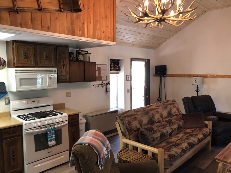 Kitchen and Living Room with Futon Couch 