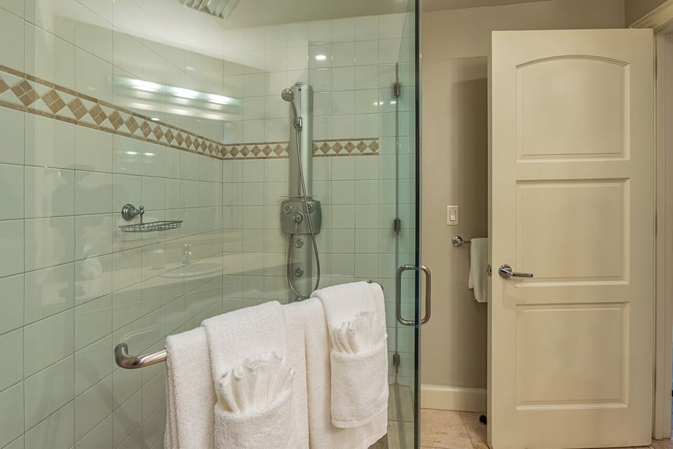 Walk in shower in the guest bathroom