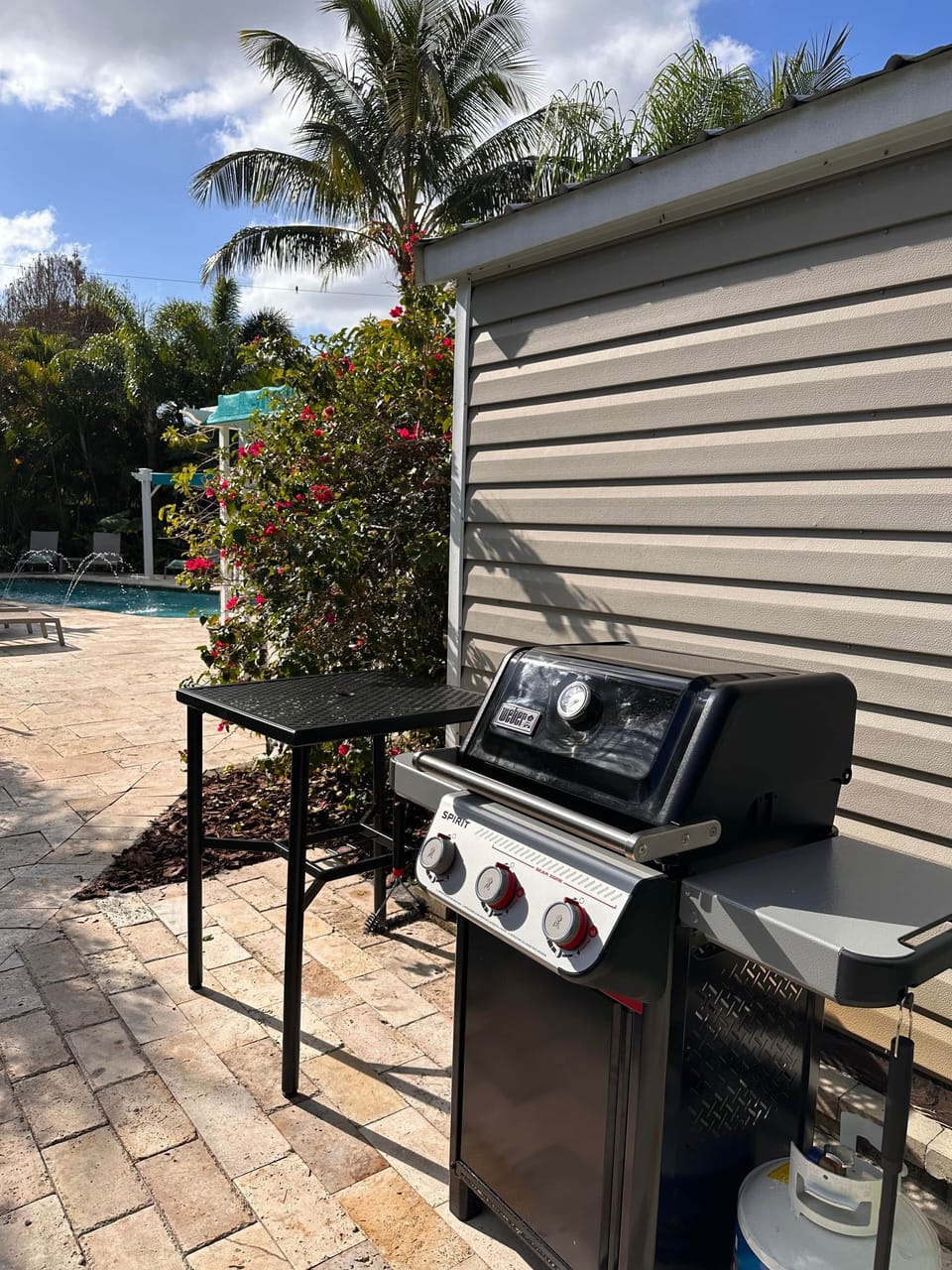 Poolside Gas Grill